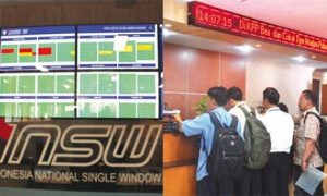 h Indonesia National Single Window (INSW)