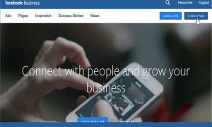 pelanggan facebook bisnis