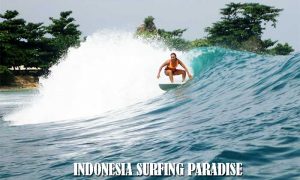 INDONESIA SURFING PARADISE