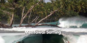 Mentawai Surfing Information