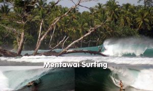 Mentawai Surfing Information
