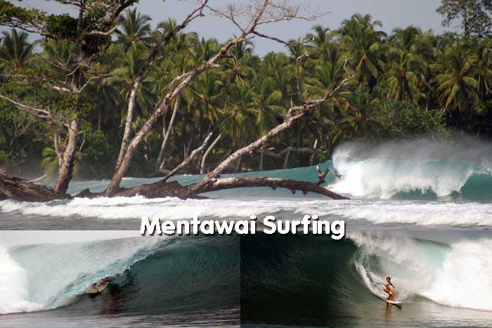 Mentawai Surfing Information