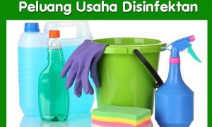 Peluang Usaha Disinfektan