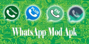 WhatsApp Mod Apk