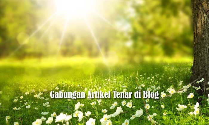 Gabungan Artikel Tenar di Blog