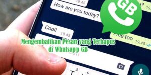 Mengembalikan Pesan yang Terhapus di Whatsapp GB