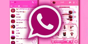 whatsapp pink