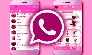 whatsapp pink