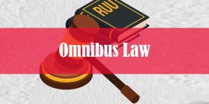 omnibus law