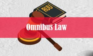 omnibus law