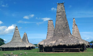 wisata alam pulau sumba